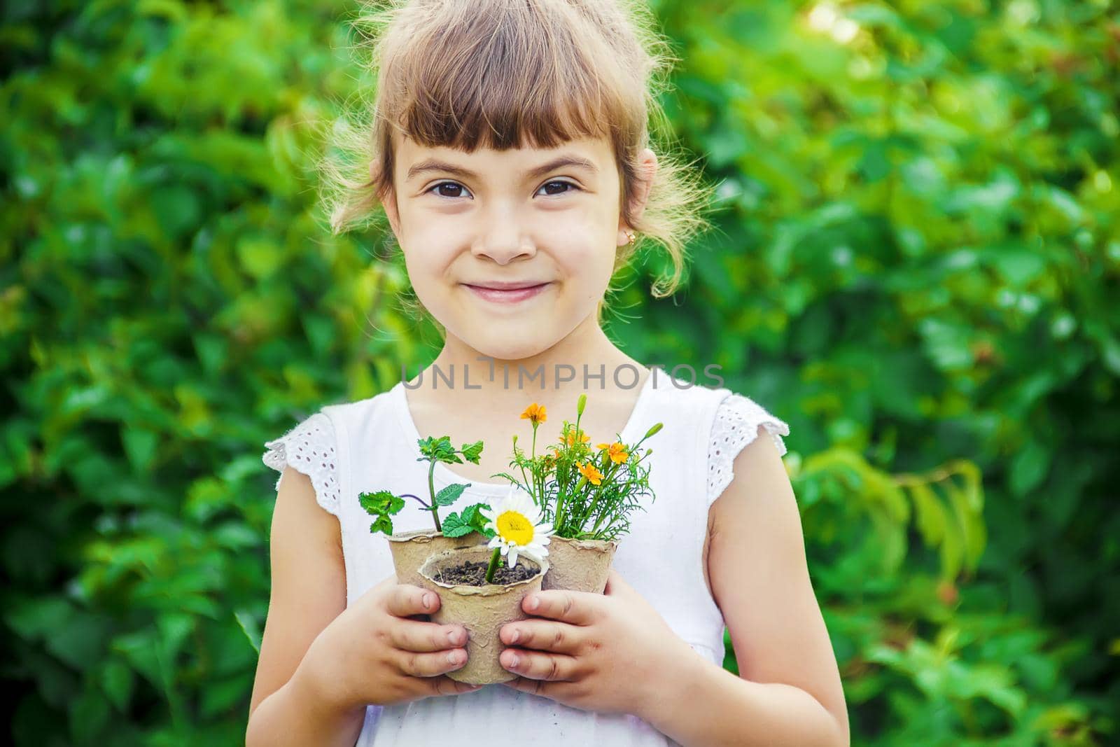 A little girl is planting flowers. The young gardener. Selective focus.