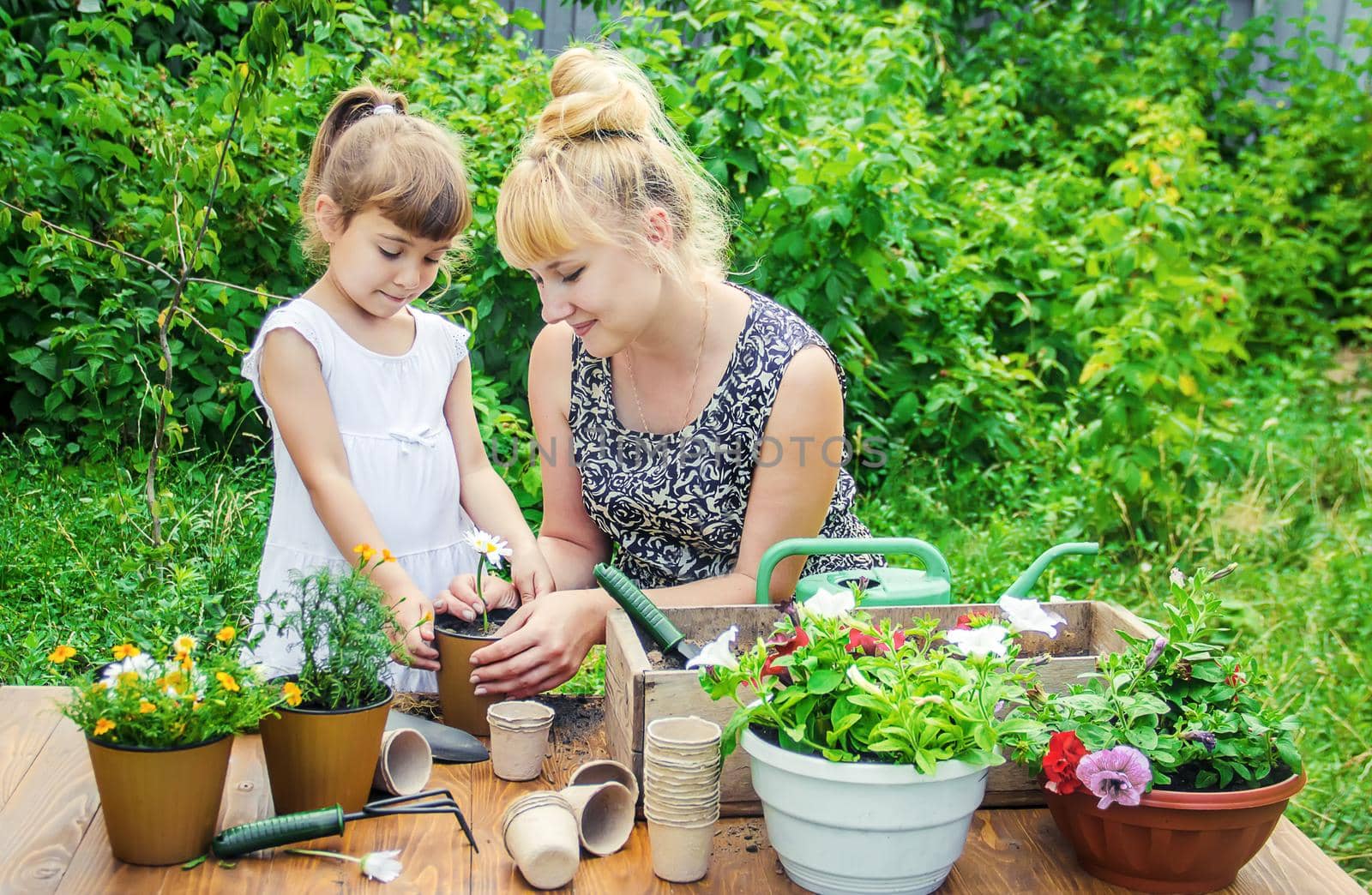 A little girl is planting flowers. The young gardener. Selective focus. by yanadjana