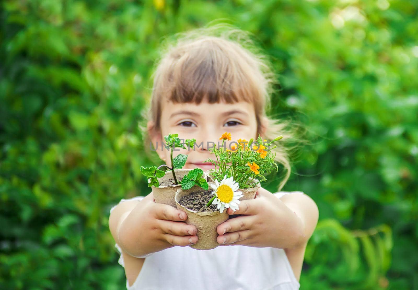 A little girl is planting flowers. The young gardener. Selective focus.