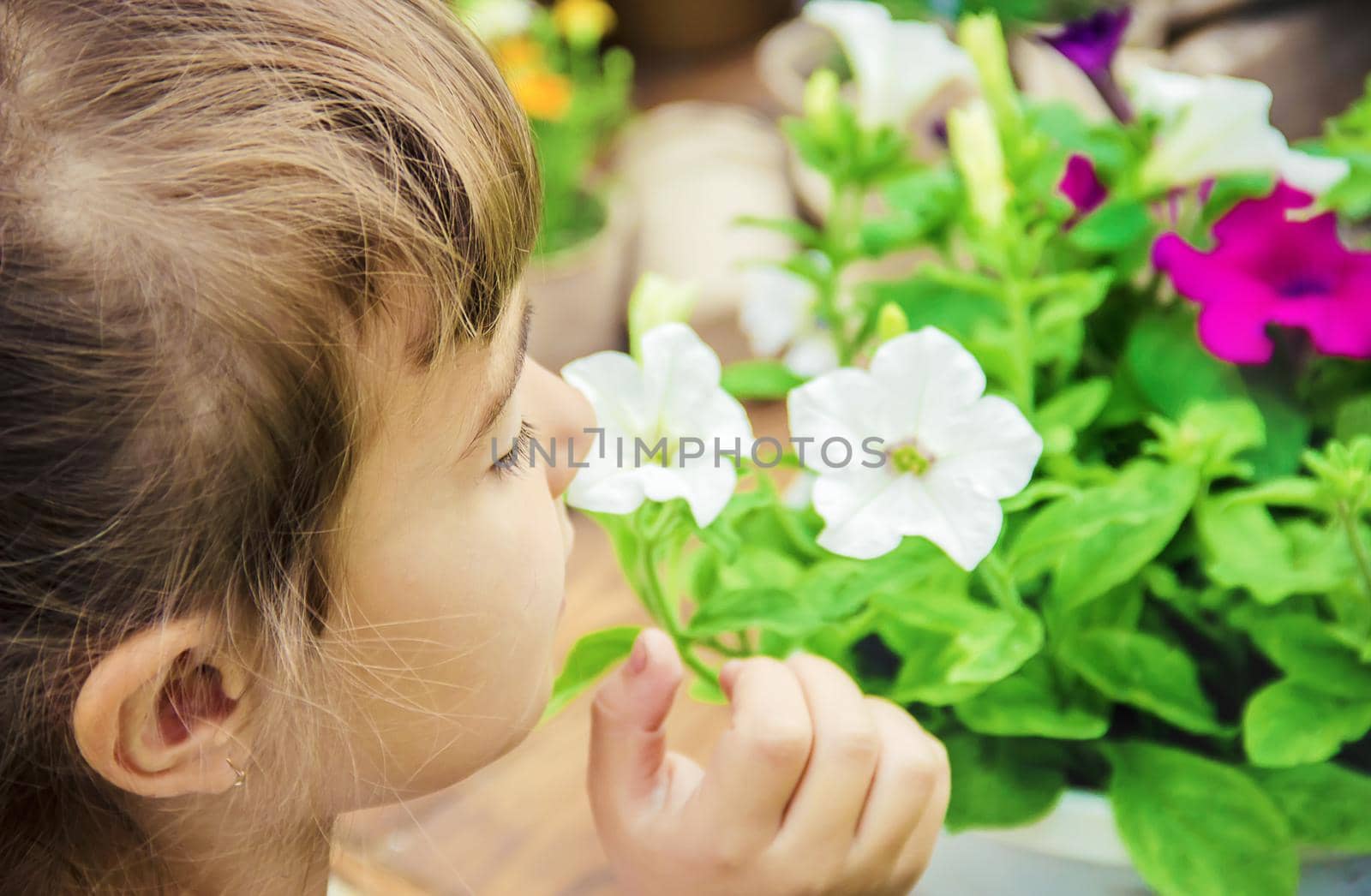 A little girl is planting flowers. The young gardener. Selective focus.