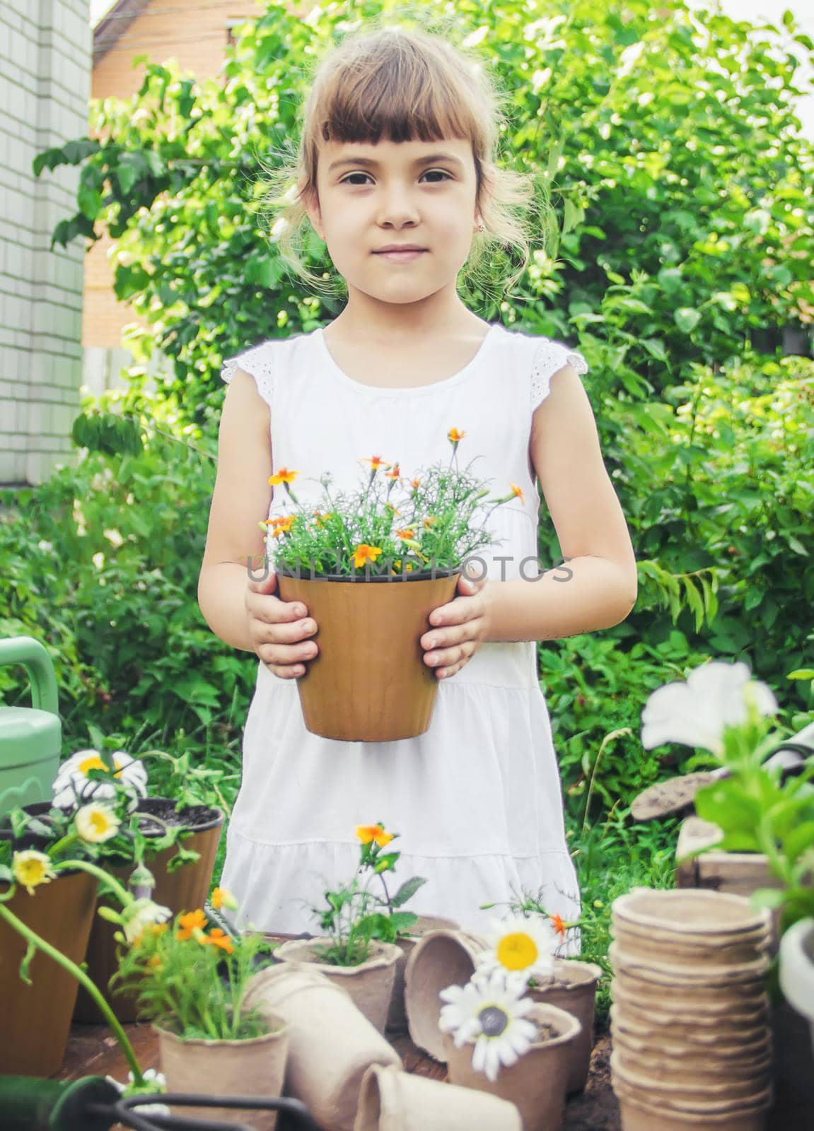 A little girl is planting flowers. The young gardener. Selective focus.