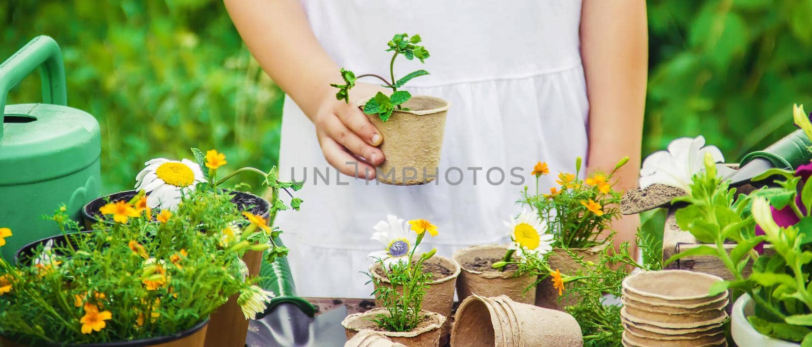 A little girl is planting flowers. The young gardener. Selective focus. by yanadjana