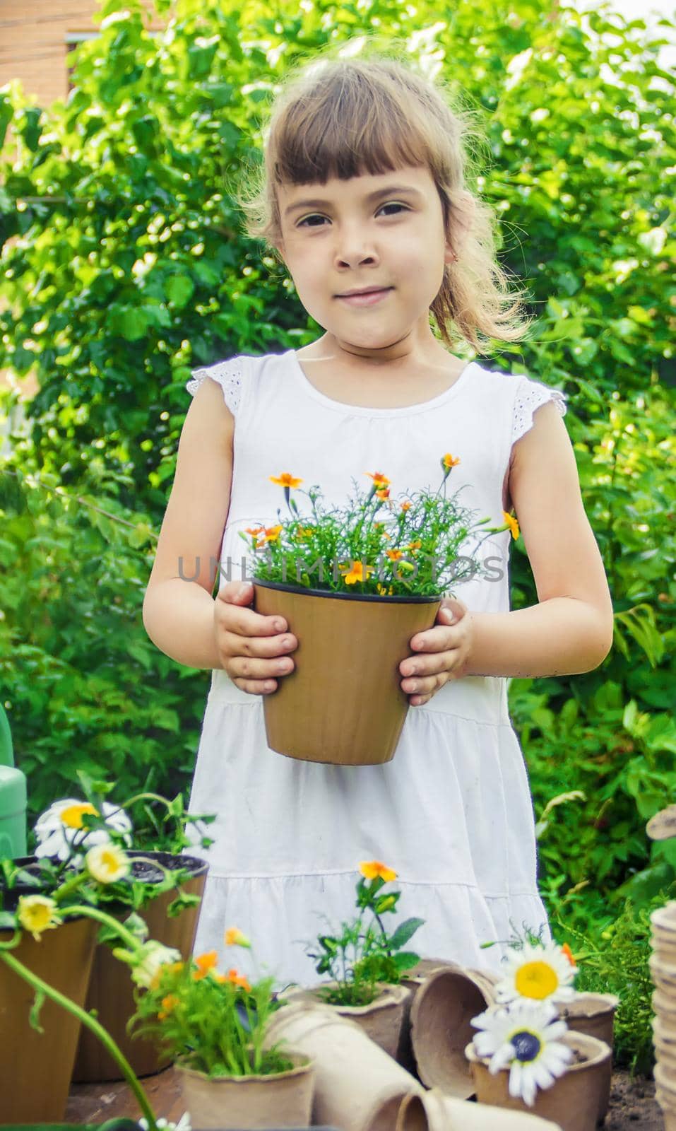 A little girl is planting flowers. The young gardener. Selective focus. by yanadjana