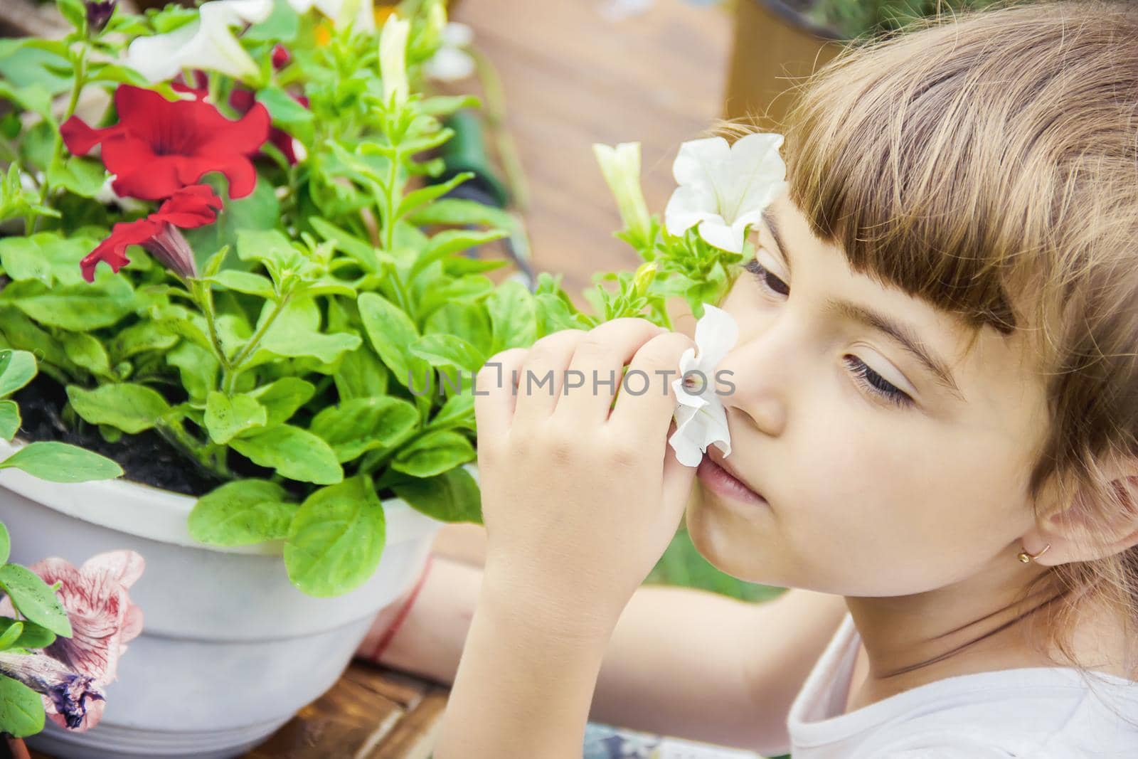 A little girl is planting flowers. The young gardener. Selective focus.