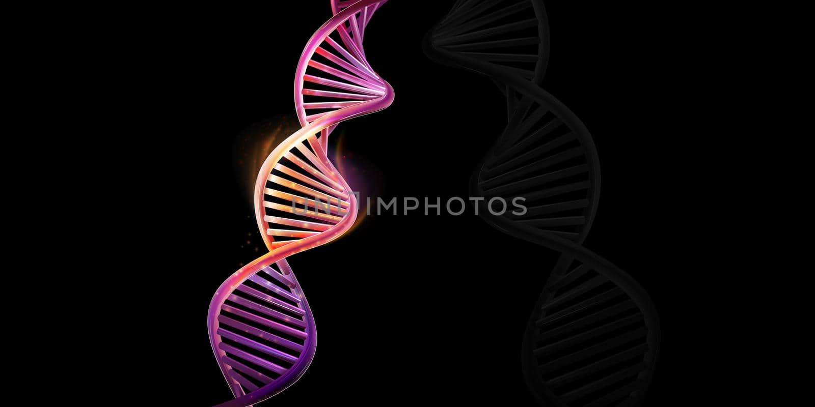 Model of abstract DNA strand double helix on a black background.