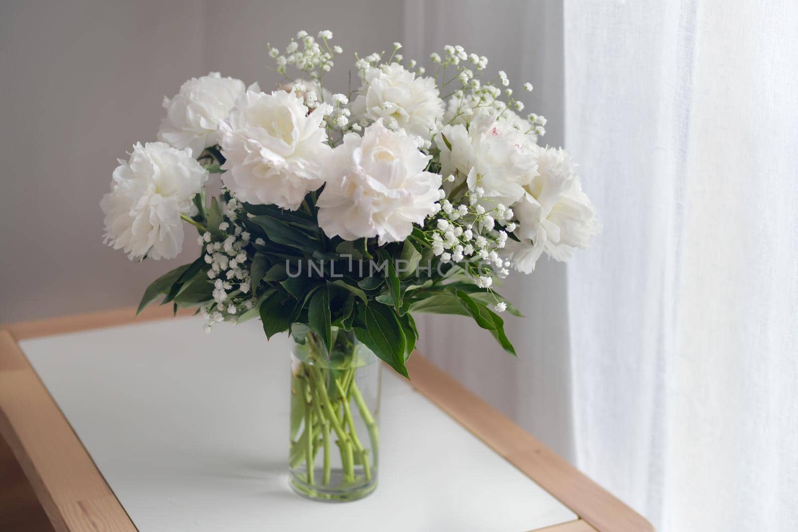 White peonies flowers in a vase on white background