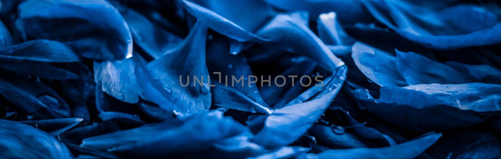 Branding, blossom and botanical concept - Abstract floral holiday art background, blue blooming flower petals in dream garden and beauty in nature for luxury spa brand and wedding invitation design