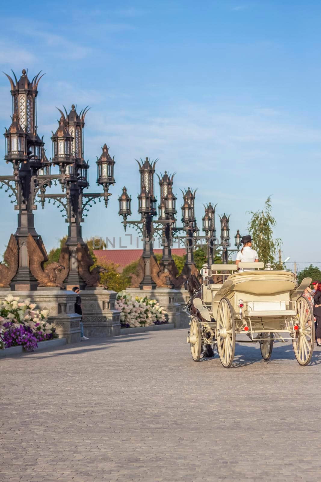 The rider drives a white carriage through the territory of the tourist complex. Elements of Gothic.