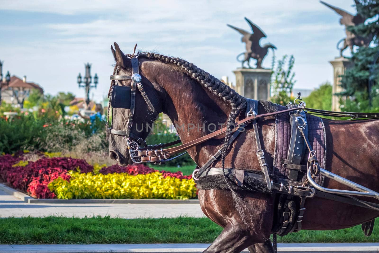 A harnessed horse on the territory of the tourist center. Elements of Gothic.