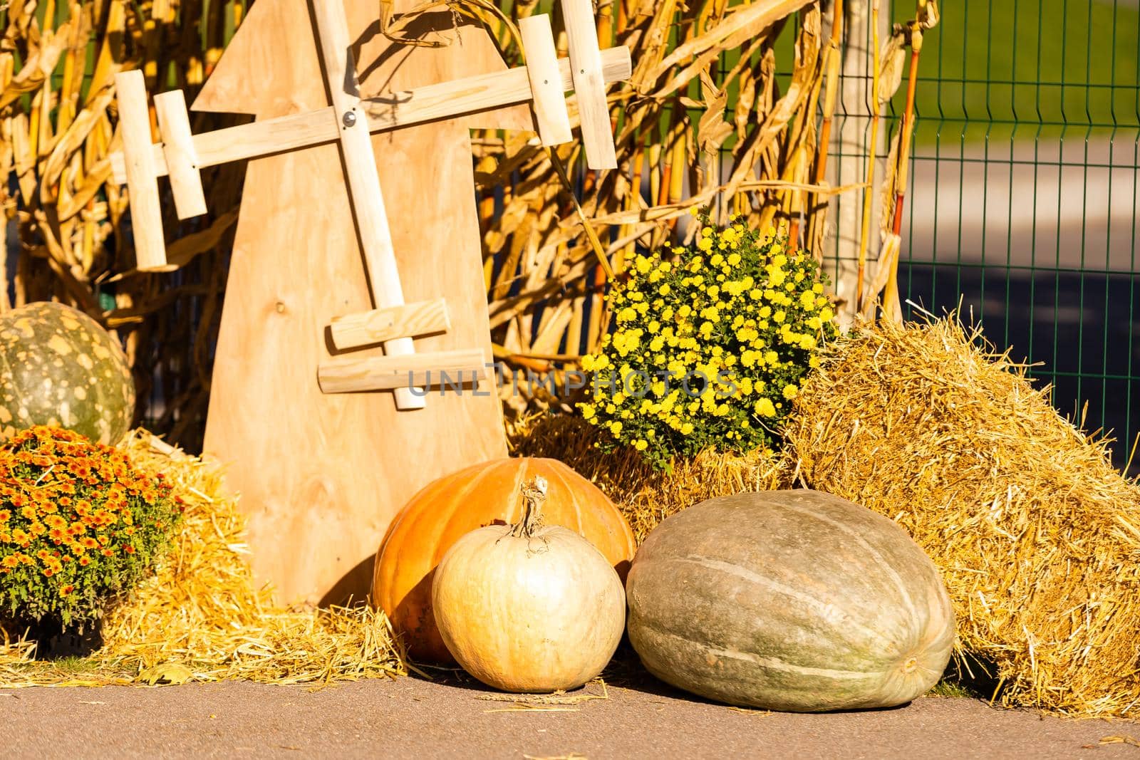 Yellow and orange pumpkins at the fair. Pumpkins in baskets and boxes. Many different pumpkins for sale. Concept of autumn, harvest and celebration by Andelov13