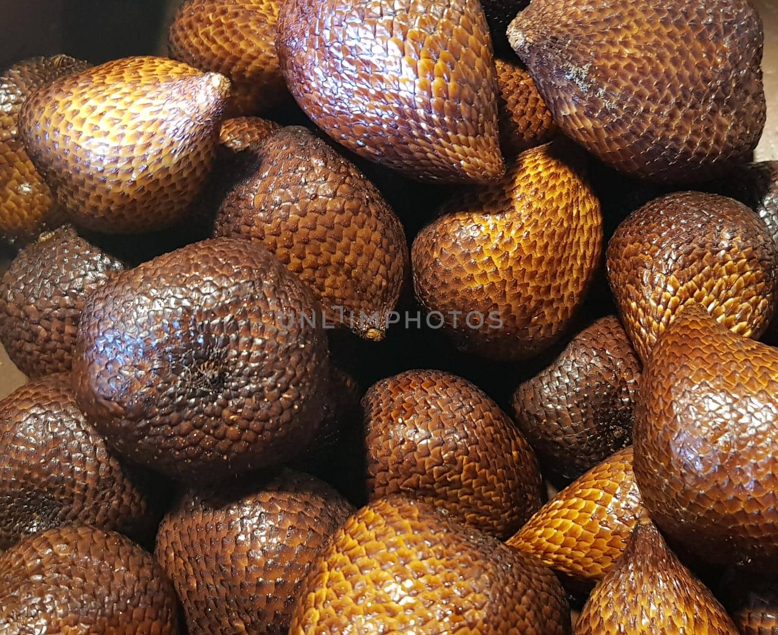 group of snake fruit or called salak in local indonesian language is a type of palm fruit commonly eaten also known as sala, the scientific name is Salacca zalacca.