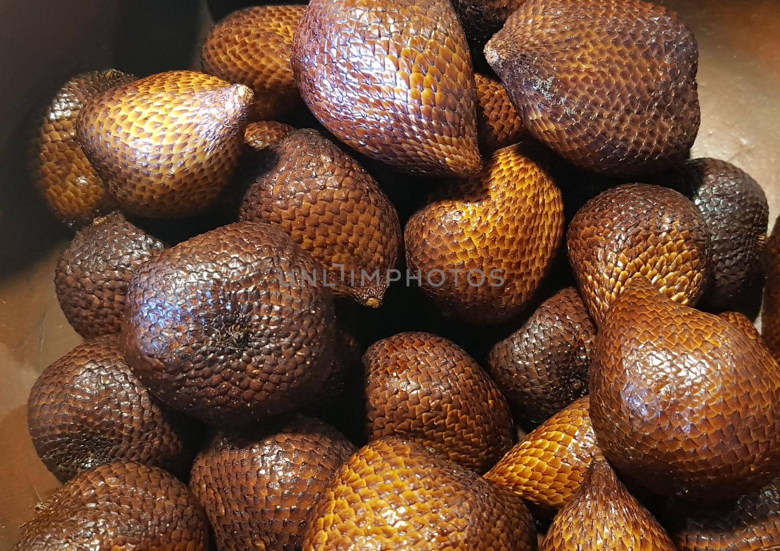 group of snake fruit or called salak in local indonesian language is a type of palm fruit commonly eaten also known as sala, the scientific name is Salacca zalacca.