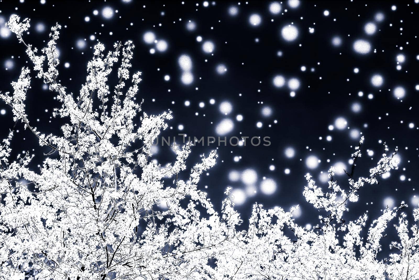 Branding, magic and festive concept - Christmas, New Years black floral background, holiday card design, flower tree and snow glitter as winter season sale promotion backdrop for luxury beauty brand