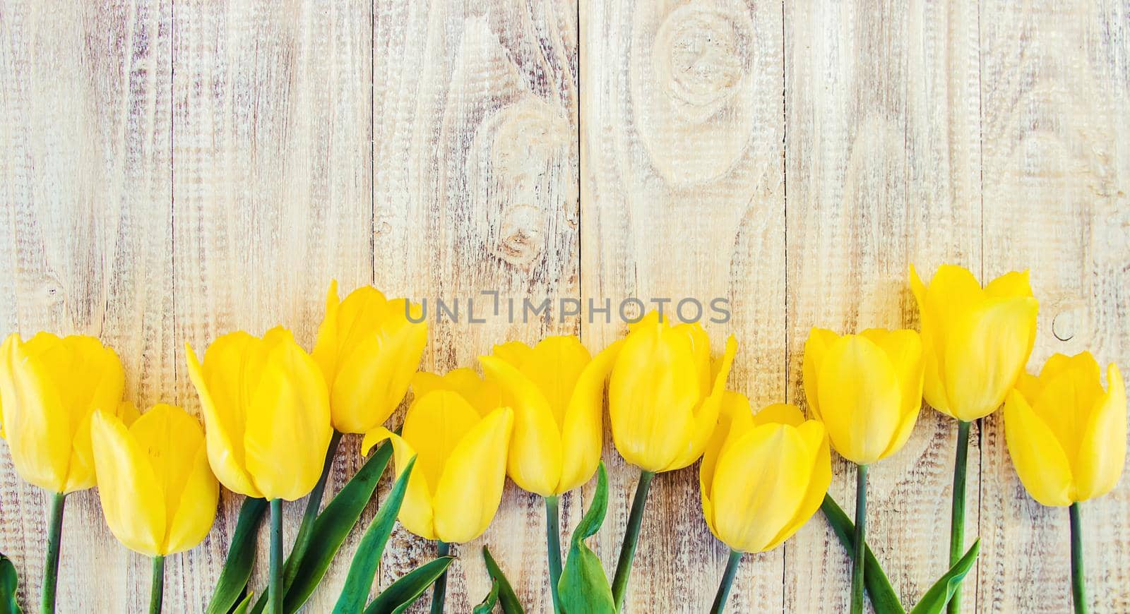 gift and flowers. selective focus. holidays and events.