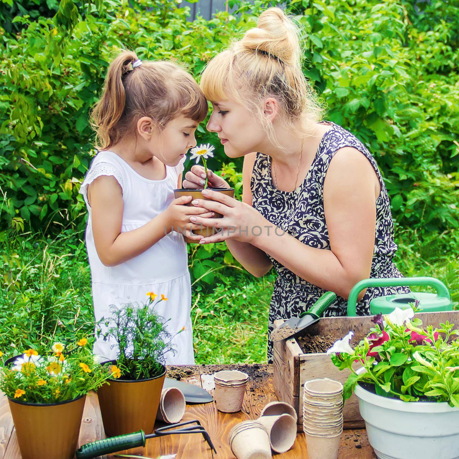 A little girl is planting flowers. The young gardener. Selective focus. by yanadjana