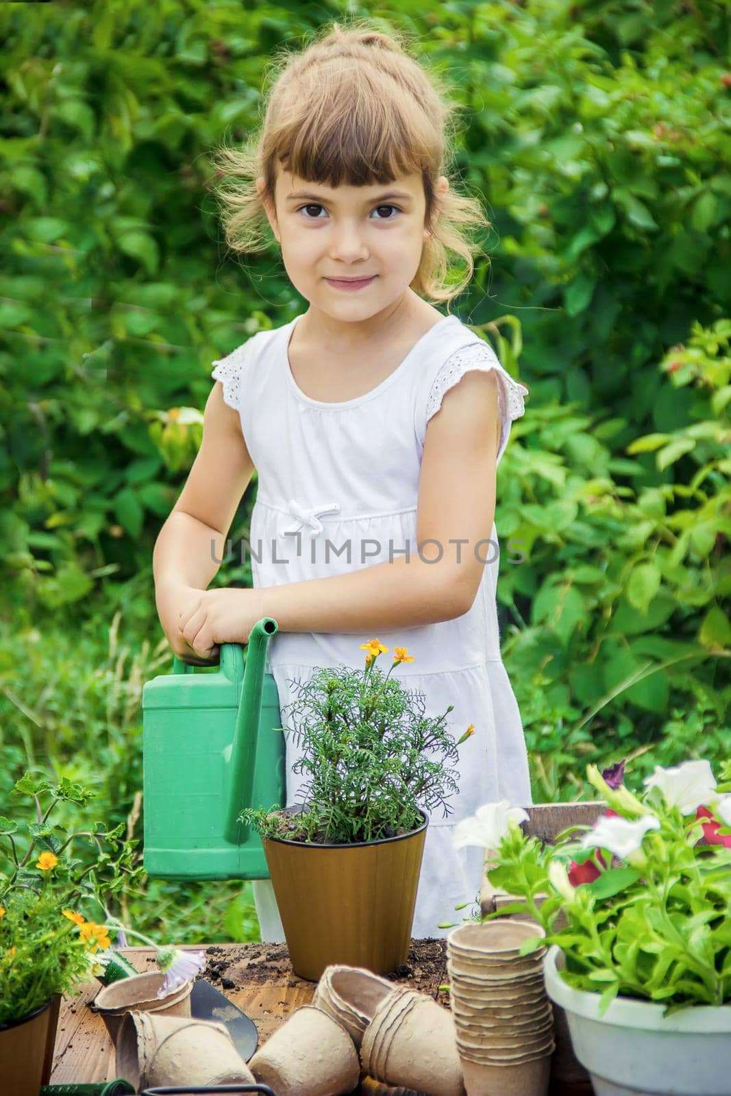 A little girl is planting flowers. The young gardener. Selective focus. by yanadjana