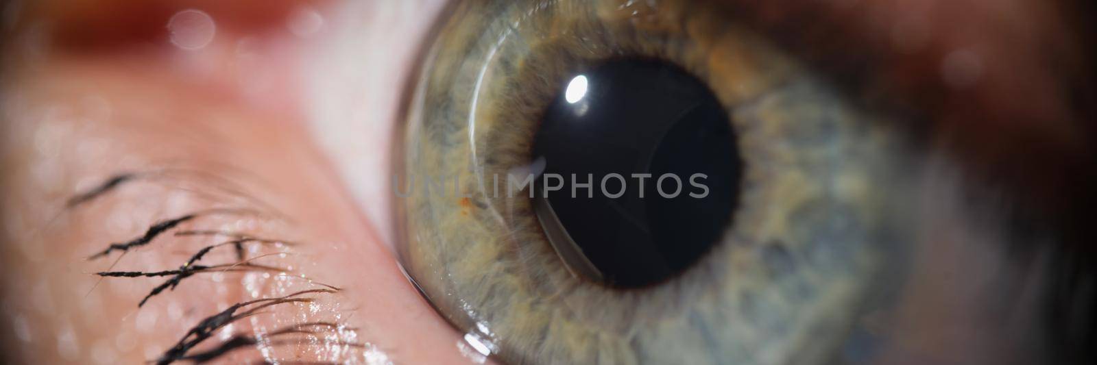 Close-up of beautiful green woman eye with mascara makeup on eyelashes. Macro shot of human eye looking away. Ophthalmology, oculist, beauty, optic concept