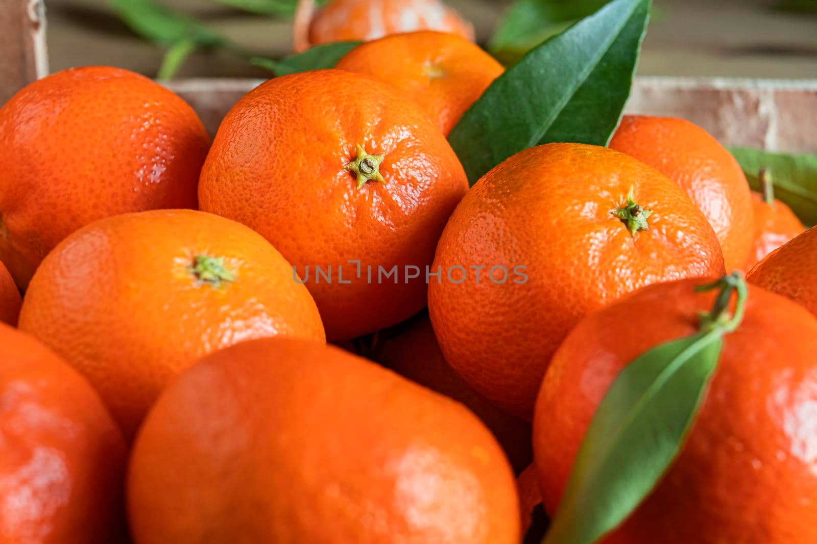 Fresh orange tangerines with leaves in a box, fruit background