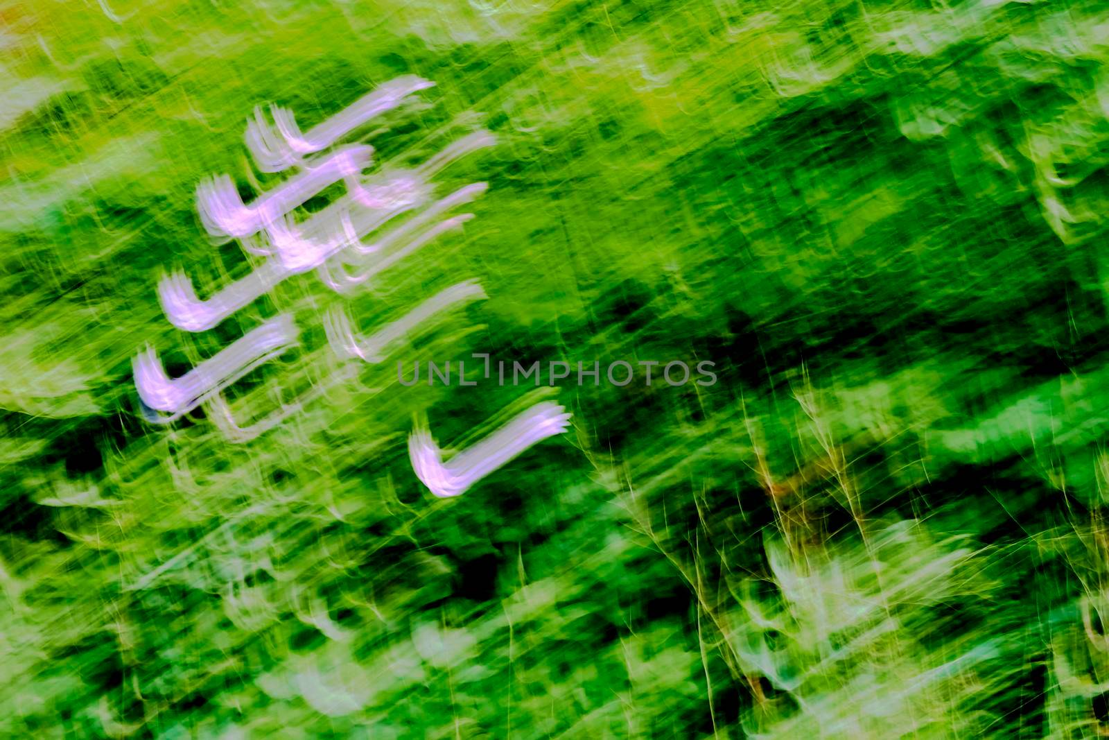 make or become unclear or less distinct. Motion blur photo of pink flowers and green grass.