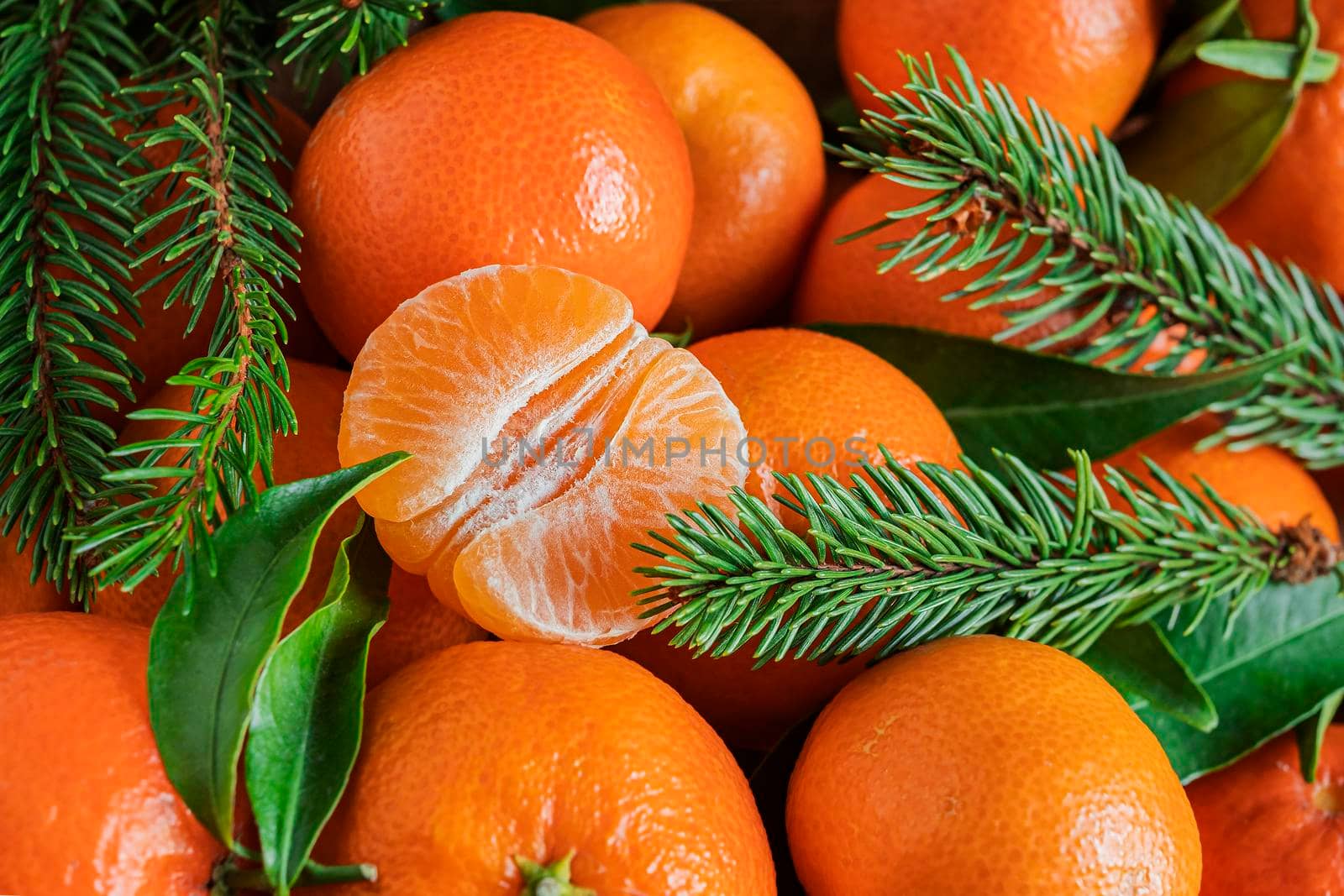 Fresh orange tangerines with leaves and spruce branches, fruit background, top view