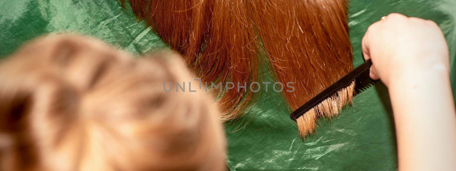 A hairdresser does a haircut and combes the long hair of a brunette woman in a beauty salon. by okskukuruza