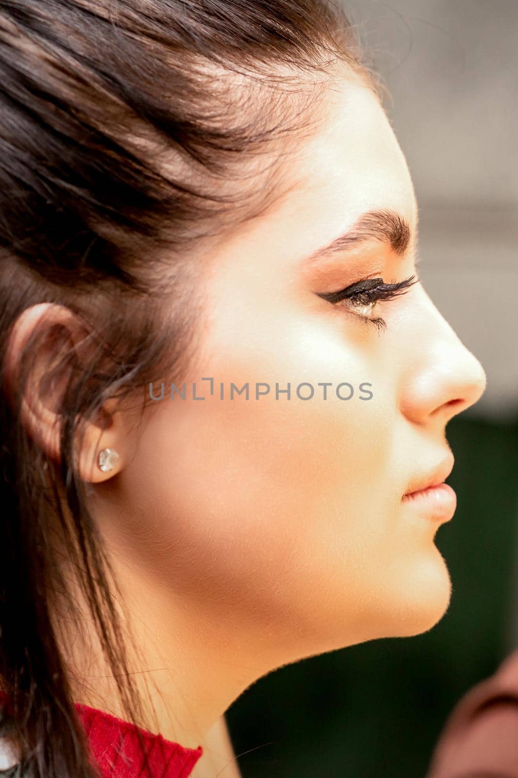 Profile portrait of the beautiful female model with long hair and makeup with a makeup artist in a beauty salon