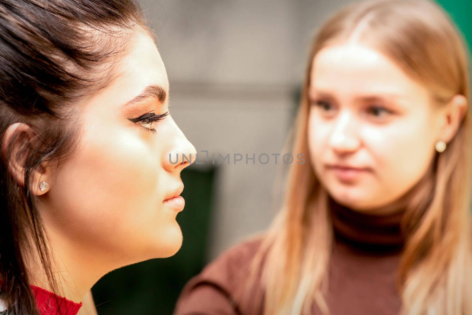 Profile portrait of the beautiful female model with long hair and makeup with a makeup artist in a beauty salon