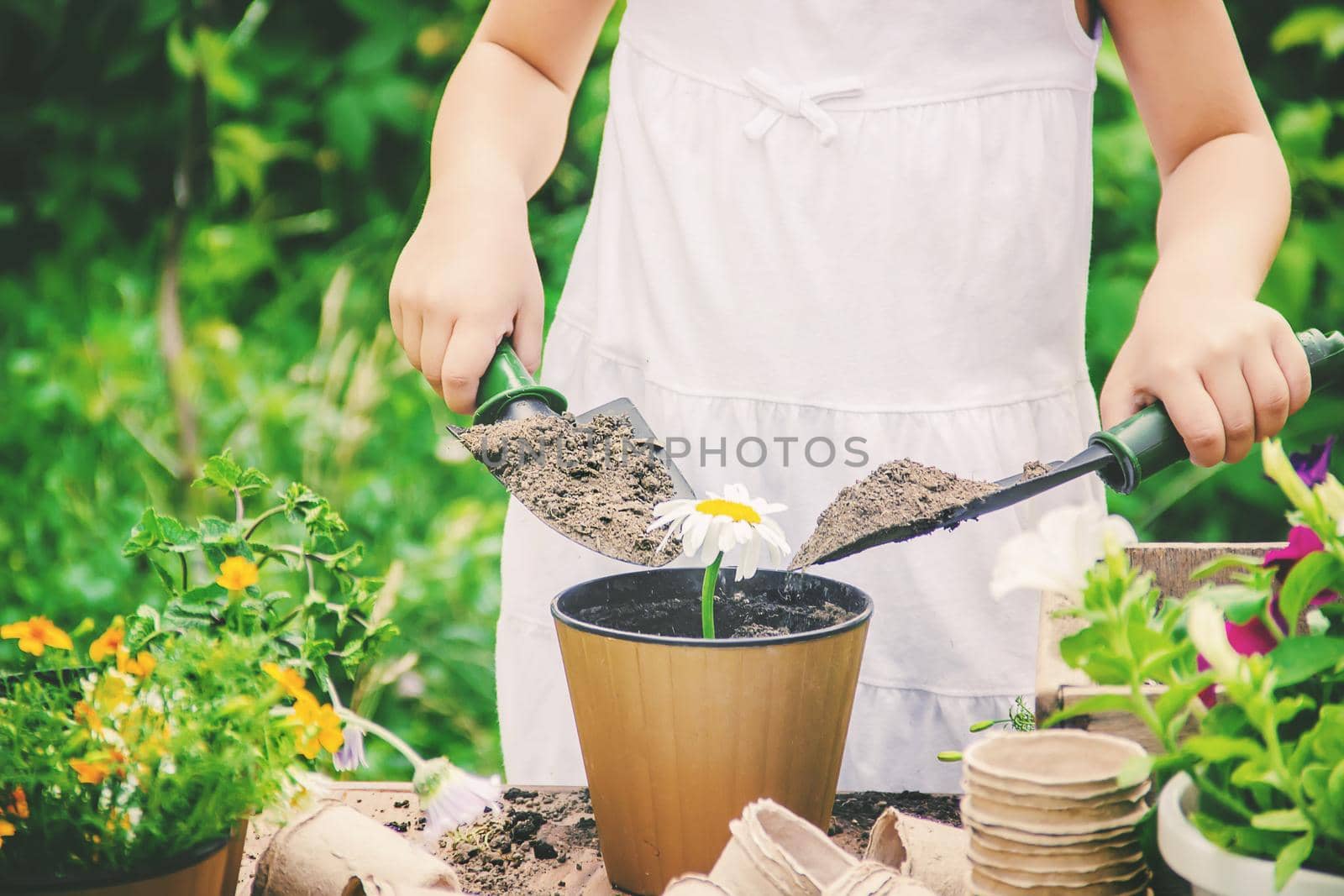 A little girl is planting flowers. The young gardener. Selective focus. nature.