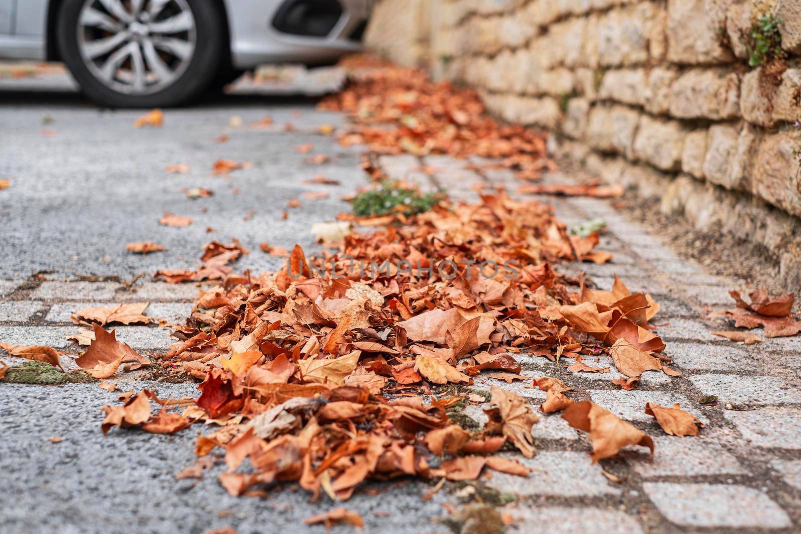 Dry autumn leaves on the paved road. Car parking on the background by Annavish