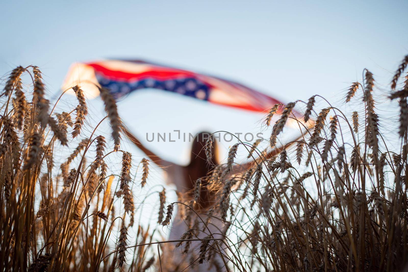 Focus on rye in the foreground, girl with USA flag on the background by VitaliiPetrushenko