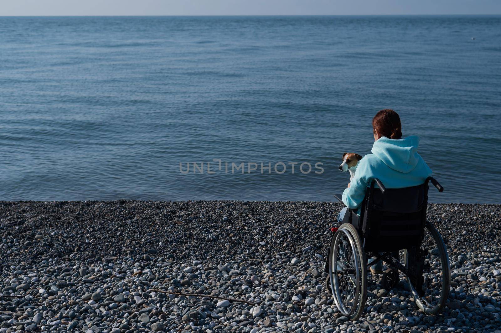 A serene Caucasian woman in a wheelchair is resting on the seashore with a jack russell terrier dog
