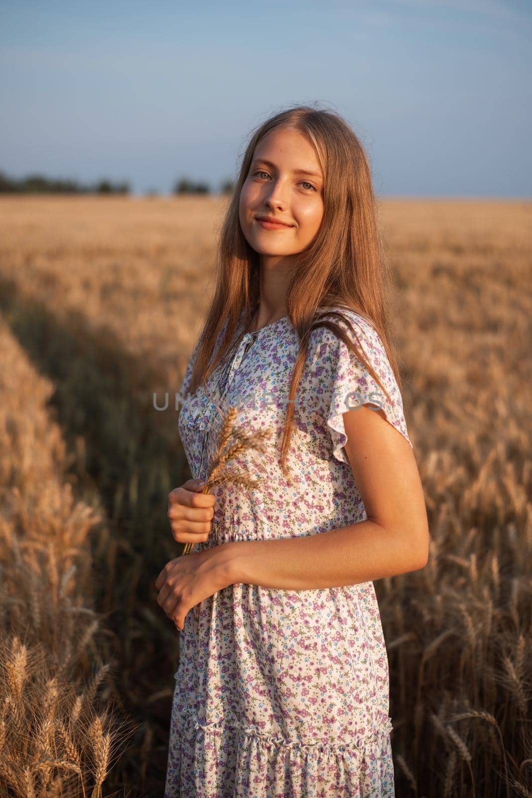 Beautiful young girl in field of ripe grain lit by warm rays of last summer rays