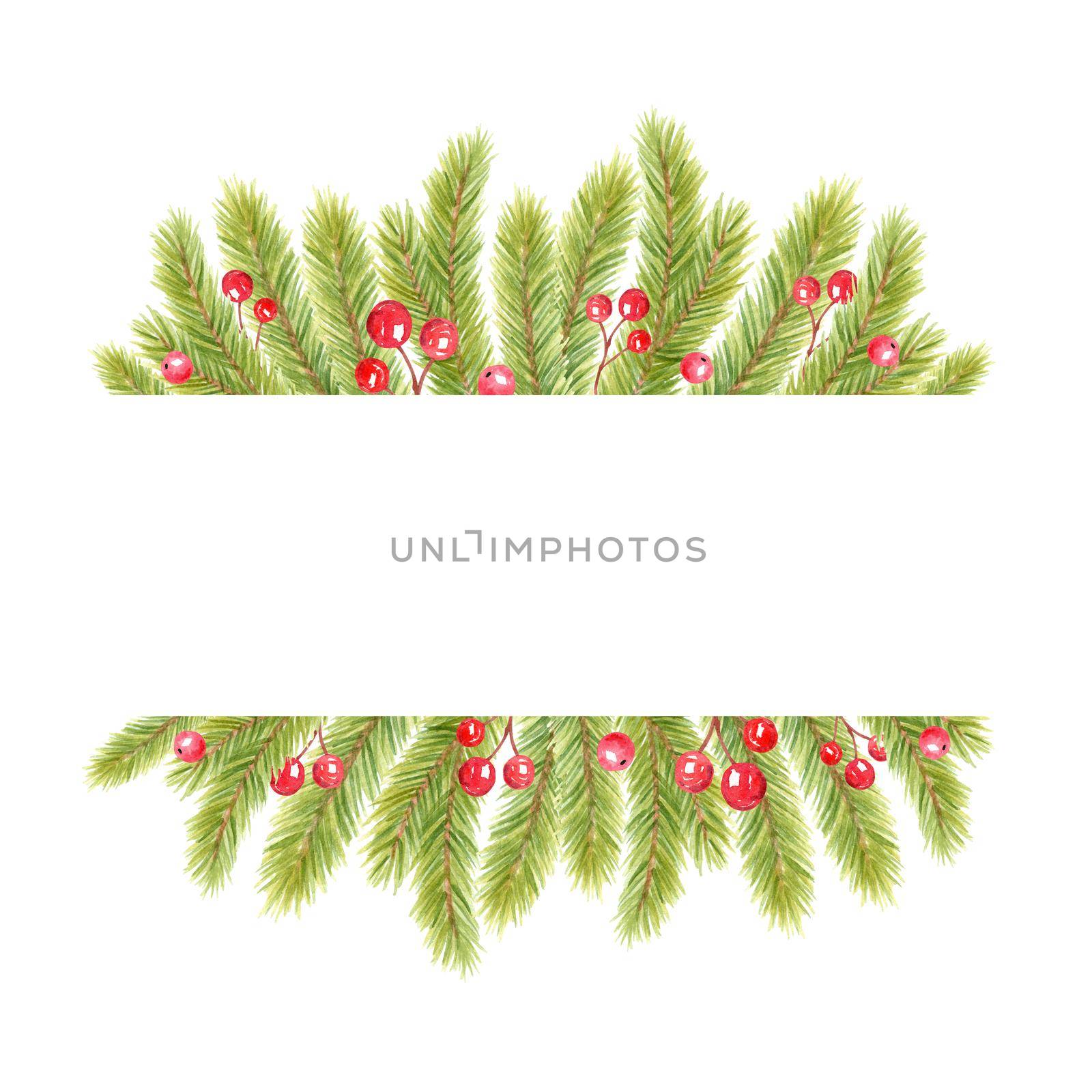 watercolor fir border with holly berries isolated on white by dreamloud