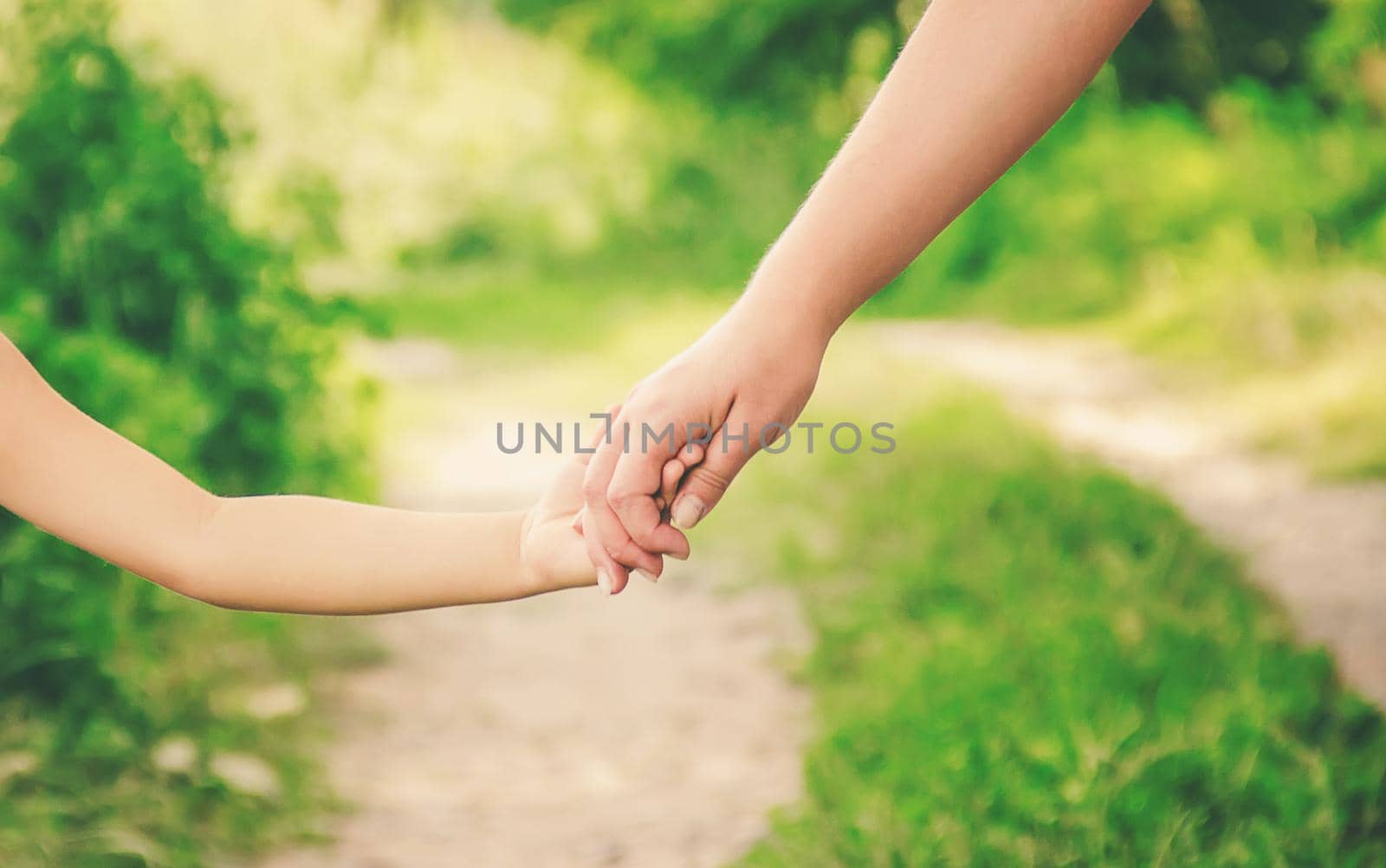 Mom and daughter are walking along the road holding hands. nature.