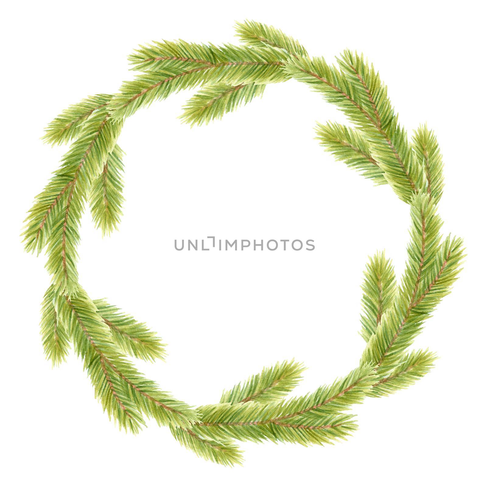 Watercolor fir wreath isolated on white by dreamloud