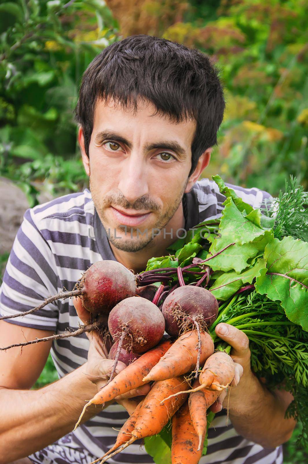 organic homemade vegetables in the hands of men.