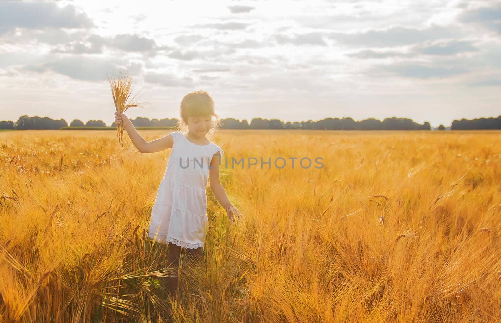 child in a wheat field. selective focus. nature
