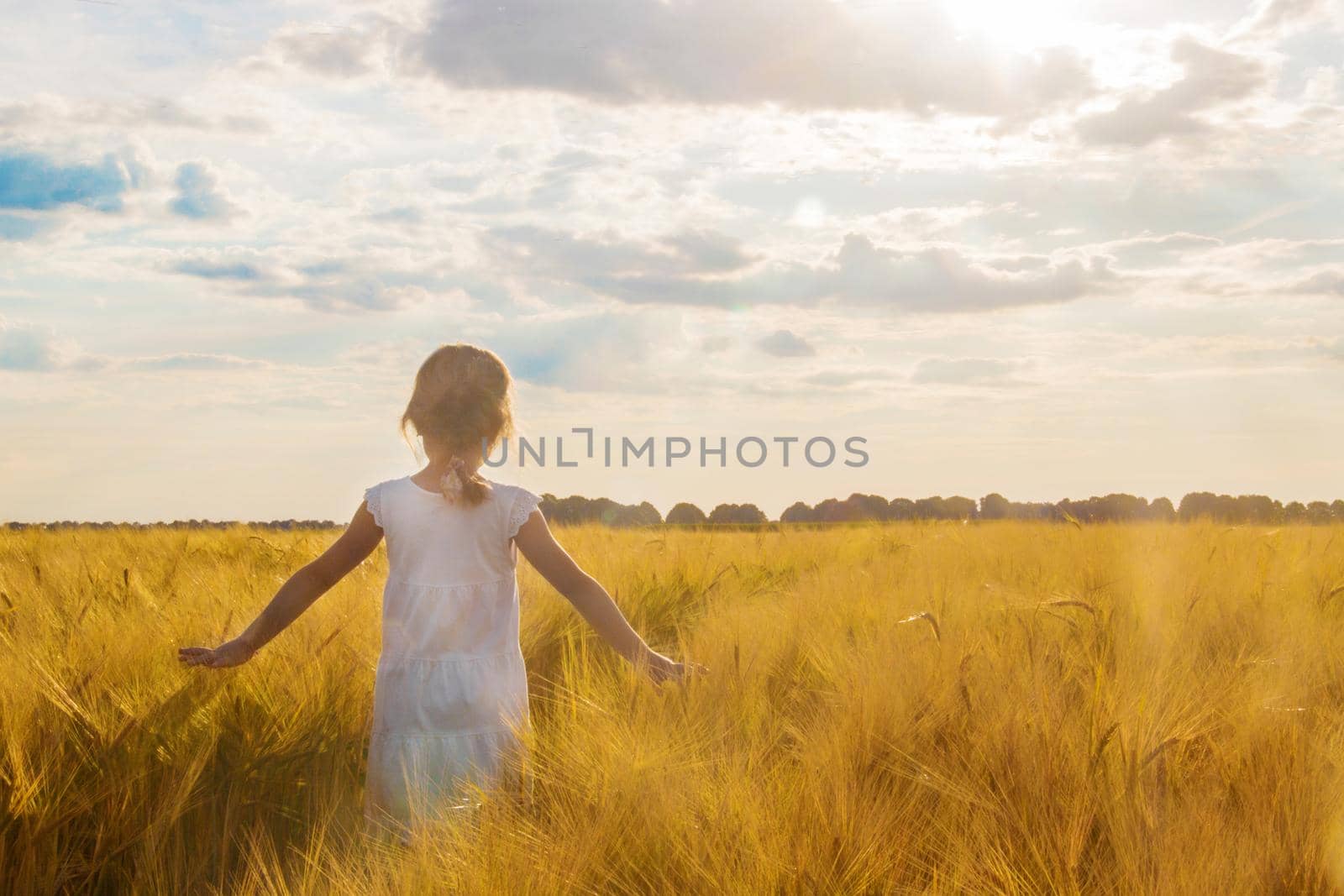 child in a wheat field. selective focus. nature