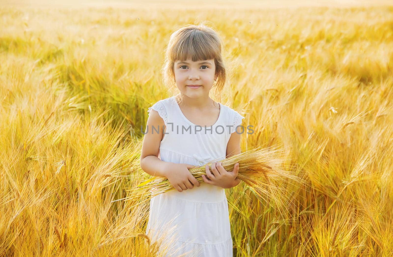 child in a wheat field. selective focus. nature