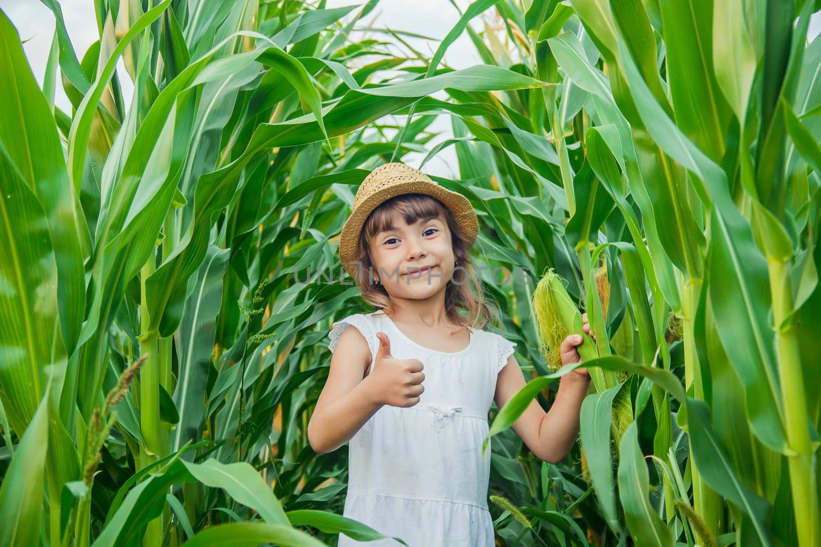child in the field of corn. a small farmer. selective focus.