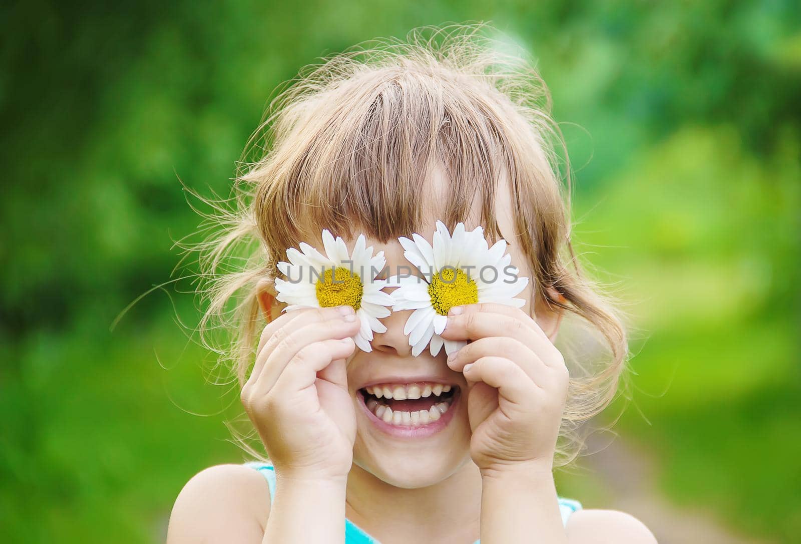 the girl is holding chamomile flowers in her hands. Selective focus. nature.