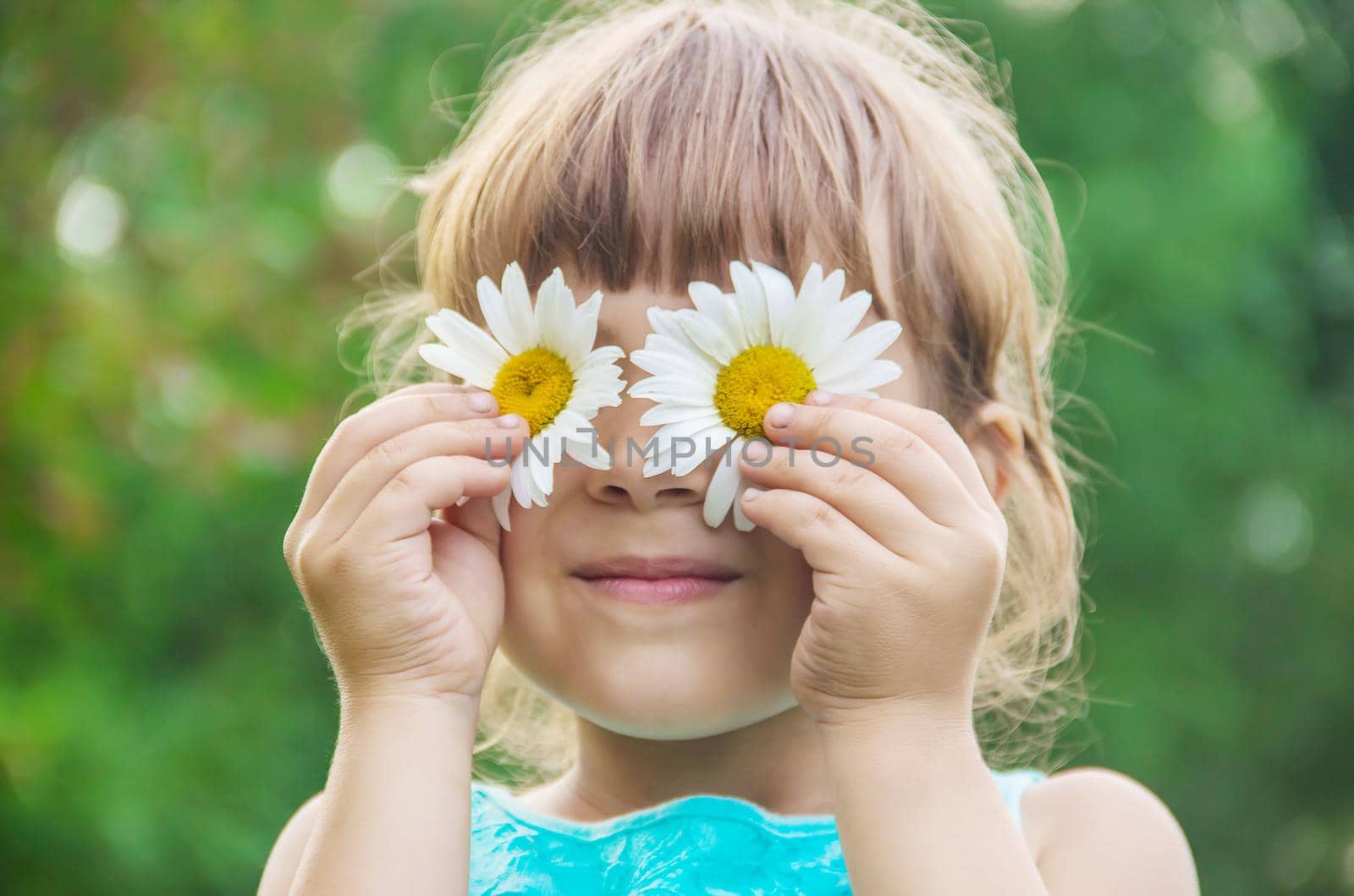 the girl is holding chamomile flowers in her hands. Selective focus.