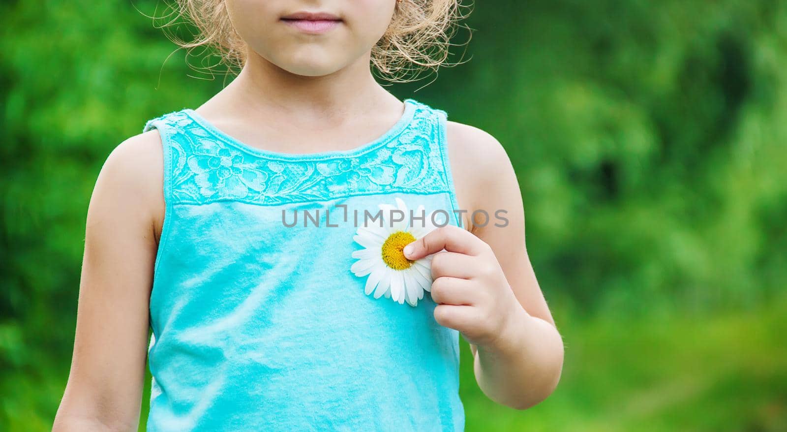 the girl is holding chamomile flowers in her hands. Selective focus. by yanadjana