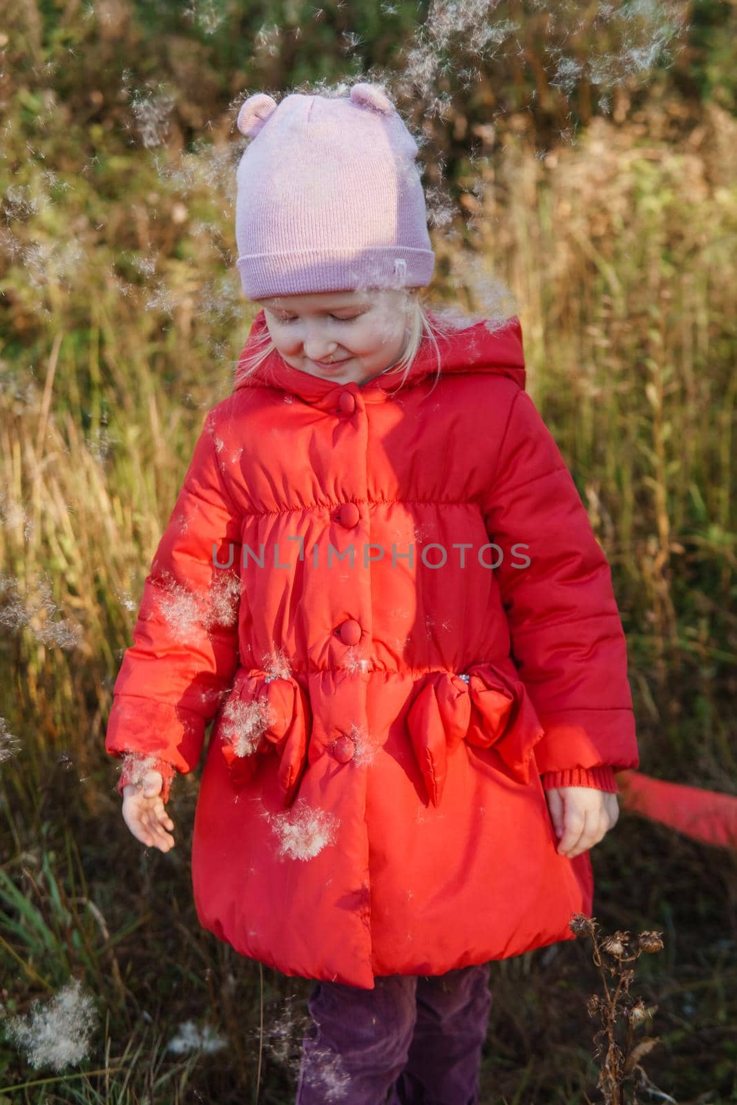 A little girl in a red coat walks in nature in an autumn grove. The season is autumn.