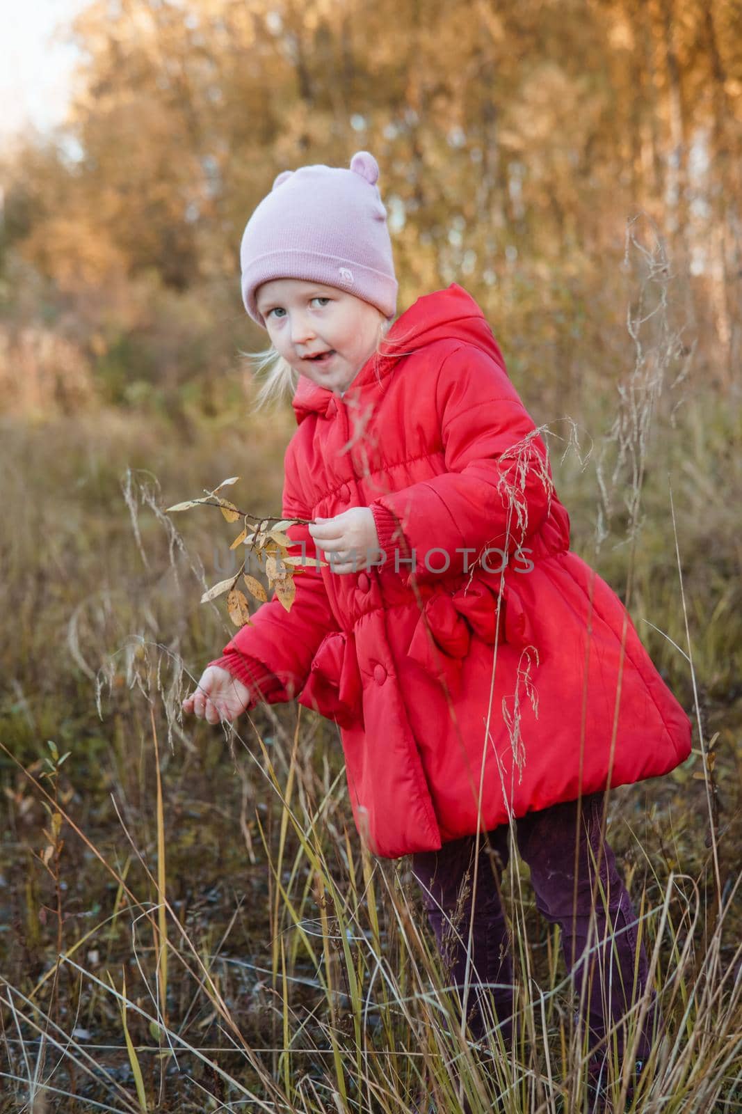 A little girl in a red coat walks in nature in an autumn grove. The season is autumn.