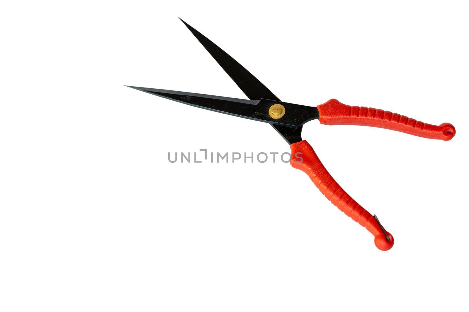 Red pruning shears isolated on a white background