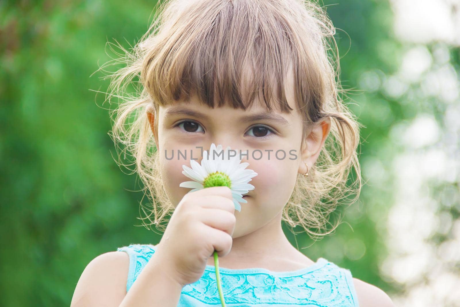 the girl is holding chamomile flowers in her hands. Selective focus.