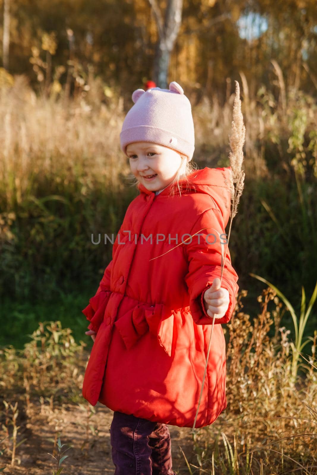 A little girl in a red coat walks in nature in an autumn grove. The season is autumn.