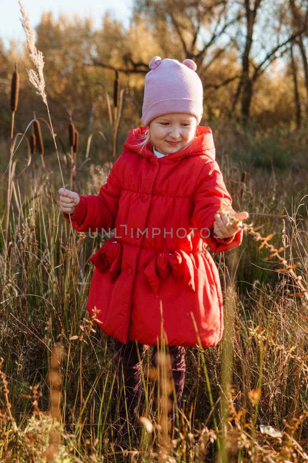 A little girl in a red coat walks in nature in an autumn grove. The season is autumn.