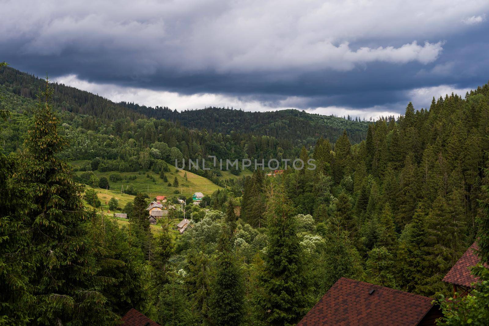 roofs of houses in the forest
